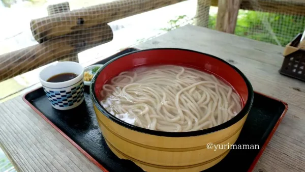 かじか亭の小田名物たらいうどん(内子町小田)
