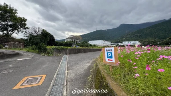 河村コスモス園の駐車場案内看板
