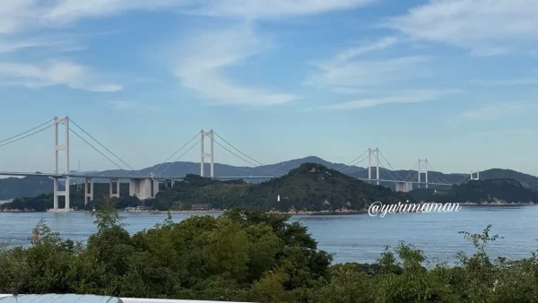 来島海峡SAの展望スペースから眺める来島海峡大橋02