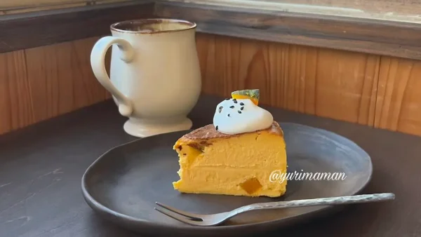 LYS(リス)のかぼちゃのバスクチーズケーキとホットコーヒー03