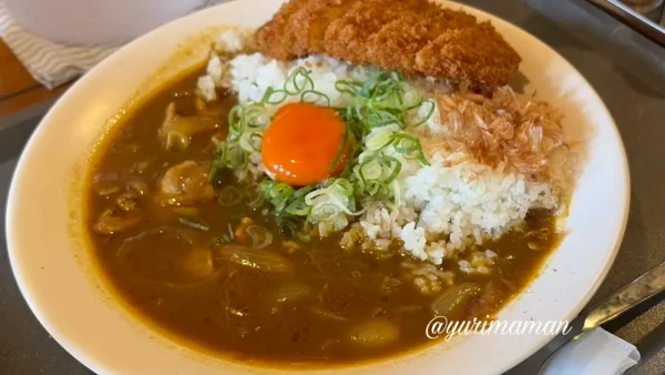 カツオだしの月見カレーと揚げたてとんかつ