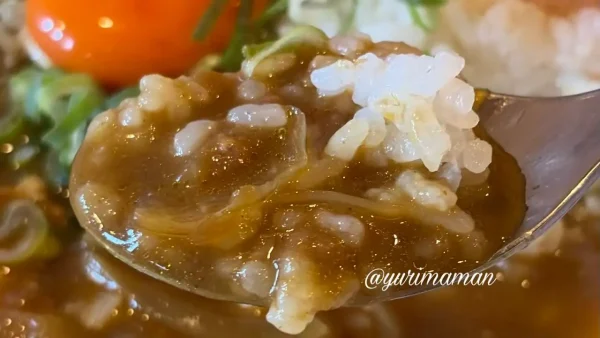 かつお節とねぎがのった月見カレーととんかつ