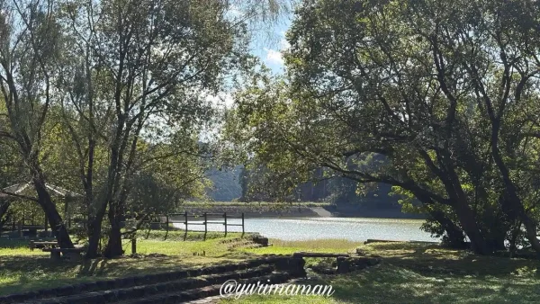 宇和島市三間町・中山池自然公園の秋の風景