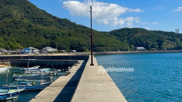『汝、星のごとく』で暁美と櫂が立っていた名駒海岸の堤防