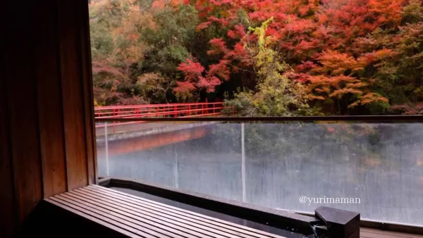 奥道後 壱湯の守の紅葉を眺めながら楽しめる足湯