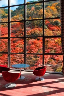 奥道後 壱湯の守の大きな窓から眺める紅葉