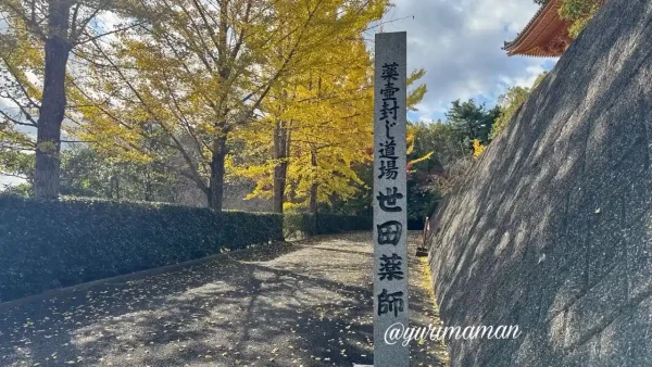 西条市の世田薬師へ続く道と黄色く色づいたイチョウ