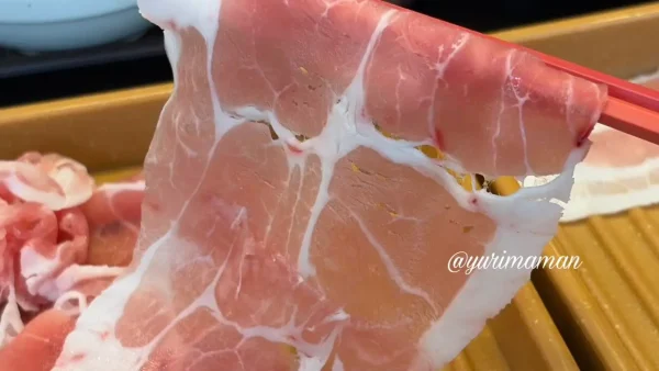 しゃぶ葉の最安値ランチで味わった豚ロース