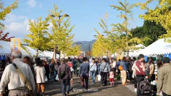 秋の砥部焼まつり 過去開催時の会場の様子