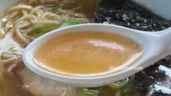 いりこのだしが効いたやすまるラーメンのスープ